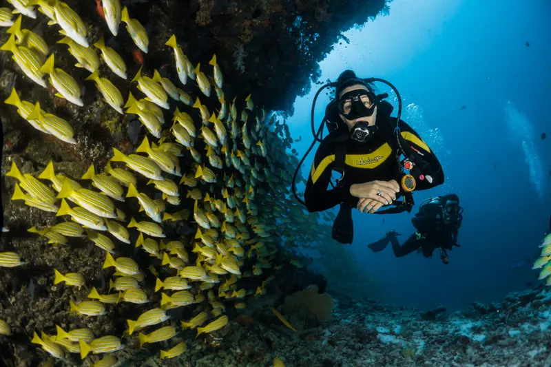 Plongée sous-marine à Torrox Costa
