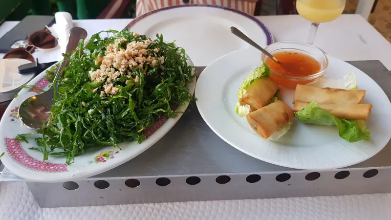 Légumes verts cuits et rouleaux de printemps sur une table à Torrox